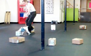 Box searching in my K9 Nose Work class