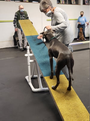 Agility - Private Lessons