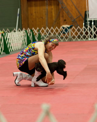 Intro to Dog Sport