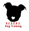 Agility - Private Lessons