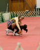 Intro to Dog Sport