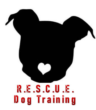 RESCUE Dog Training